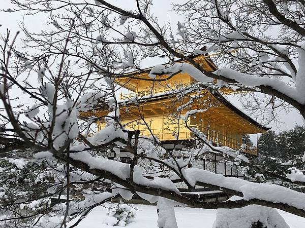 IMG_3688.JPG IMG_3688.JPG