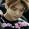 LUHAN-3.jpg