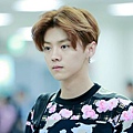 LUHAN-12.jpg