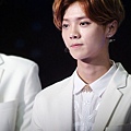 LUHAN-2.jpg