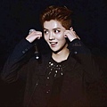 LUHAN-68.jpg