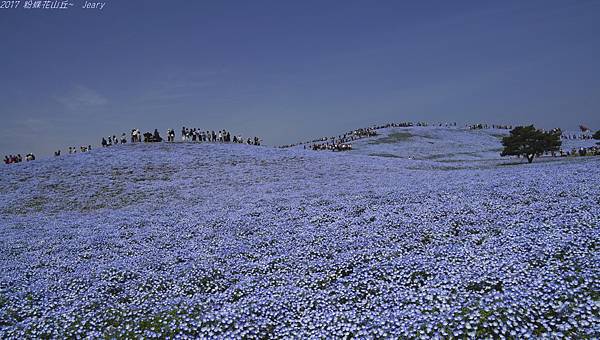 _DSC0077.JPG _DSC0077.JPG