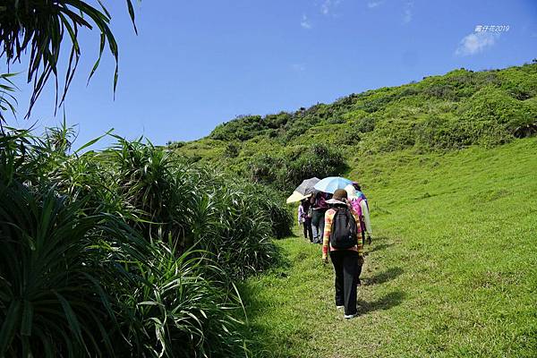 【九棚】鼻頭草原~眺望八瑤灣