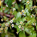 DSC00836.jpg