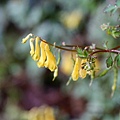 DSC00833.jpg
