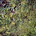 DSC00855.jpg