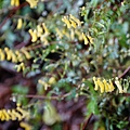 DSC00859.jpg