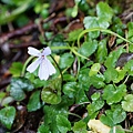 DSC00884.jpg