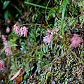 DSC00893.jpg