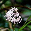 DSC00897.jpg