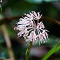 DSC00900.jpg