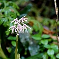 DSC00901.jpg