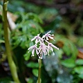 DSC00902.jpg