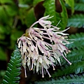 DSC00910.jpg