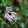 DSC00914.jpg