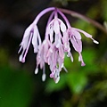DSC00941.jpg
