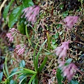 DSC00943.jpg