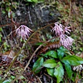 DSC00964.jpg