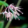 DSC00984.jpg