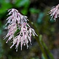 DSC01002.jpg