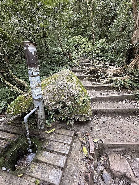 揮汗!毅力!擁抱美美抹茶山