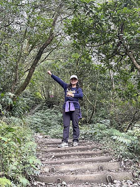 揮汗!毅力!擁抱美美抹茶山