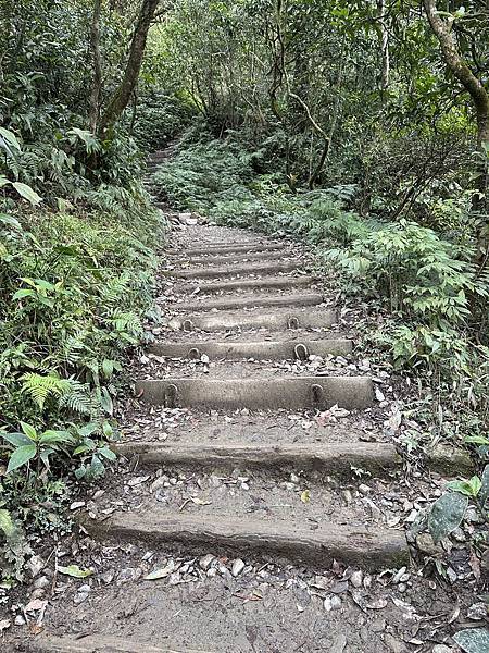 揮汗!毅力!擁抱美美抹茶山