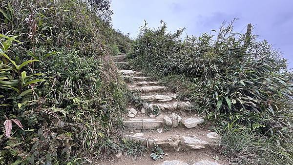 揮汗!毅力!擁抱美美抹茶山