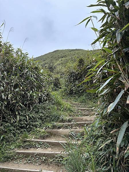 揮汗!毅力!擁抱美美抹茶山