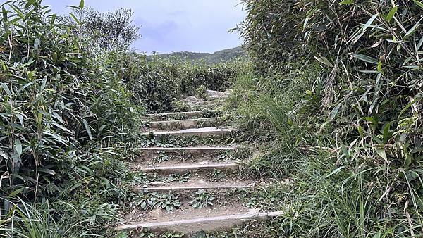 揮汗!毅力!擁抱美美抹茶山