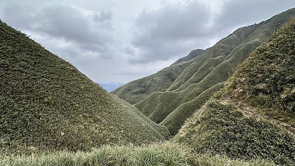 揮汗!毅力!擁抱美美抹茶山