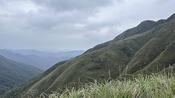 揮汗!毅力!擁抱美美抹茶山