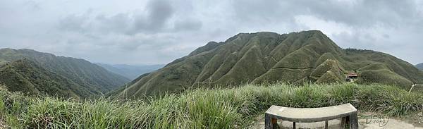 揮汗!毅力!擁抱美美抹茶山