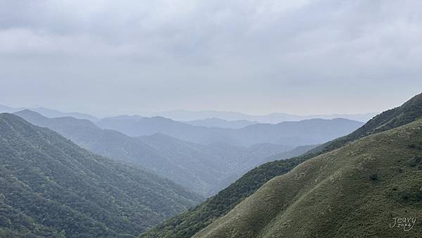 揮汗!毅力!擁抱美美抹茶山