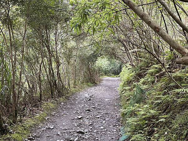 揮汗!毅力!擁抱美美抹茶山