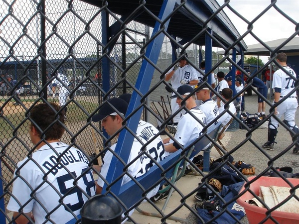 Dtroit Tigers Rookies