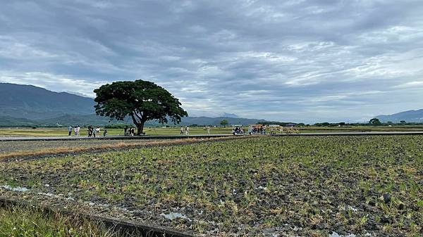 今天受邀，第四次到雙語標竿的長安國小培訓師資。