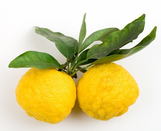 fresh-yuzu-fruit.jpg