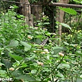 日本多摩動物園>