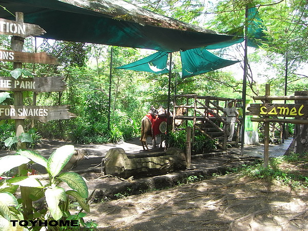 <峇里島-野生動物園>