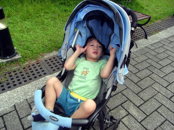 <台北市立動物園2011/8/27>