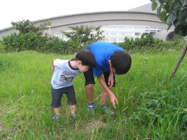 <淡水水管公園>