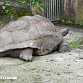 <台北市動物園2012/4/15>