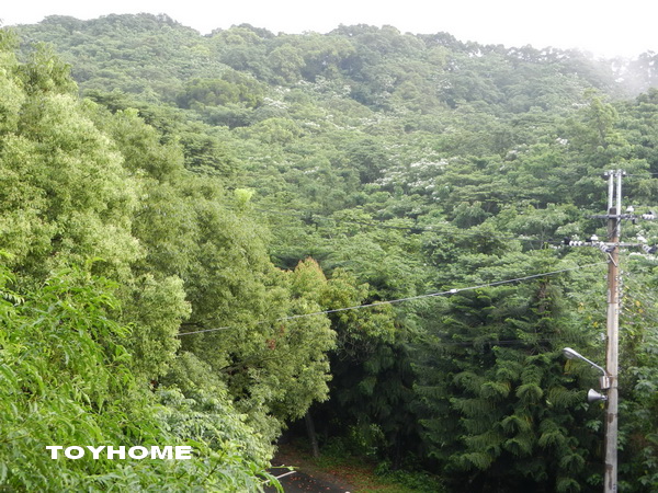 <苗栗飛牛牧場2012/4/28>