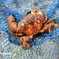 <基隆和平島海濱公園2012/7/14>