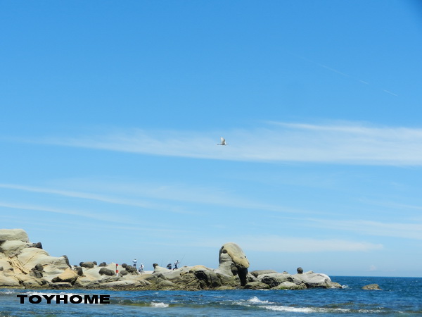 <基隆和平島海濱公園2012/8/19>