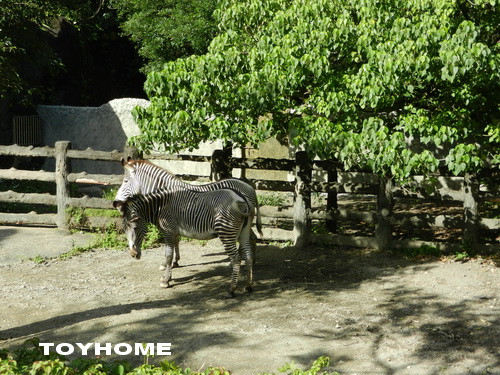 <台北市動物園2012/12/29>