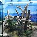 <台北市動物園2012/12/29>