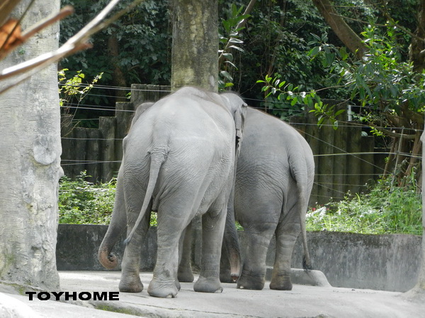 <台北市動物園2012/12/29>