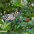 <台北市動物園2012/12/29>